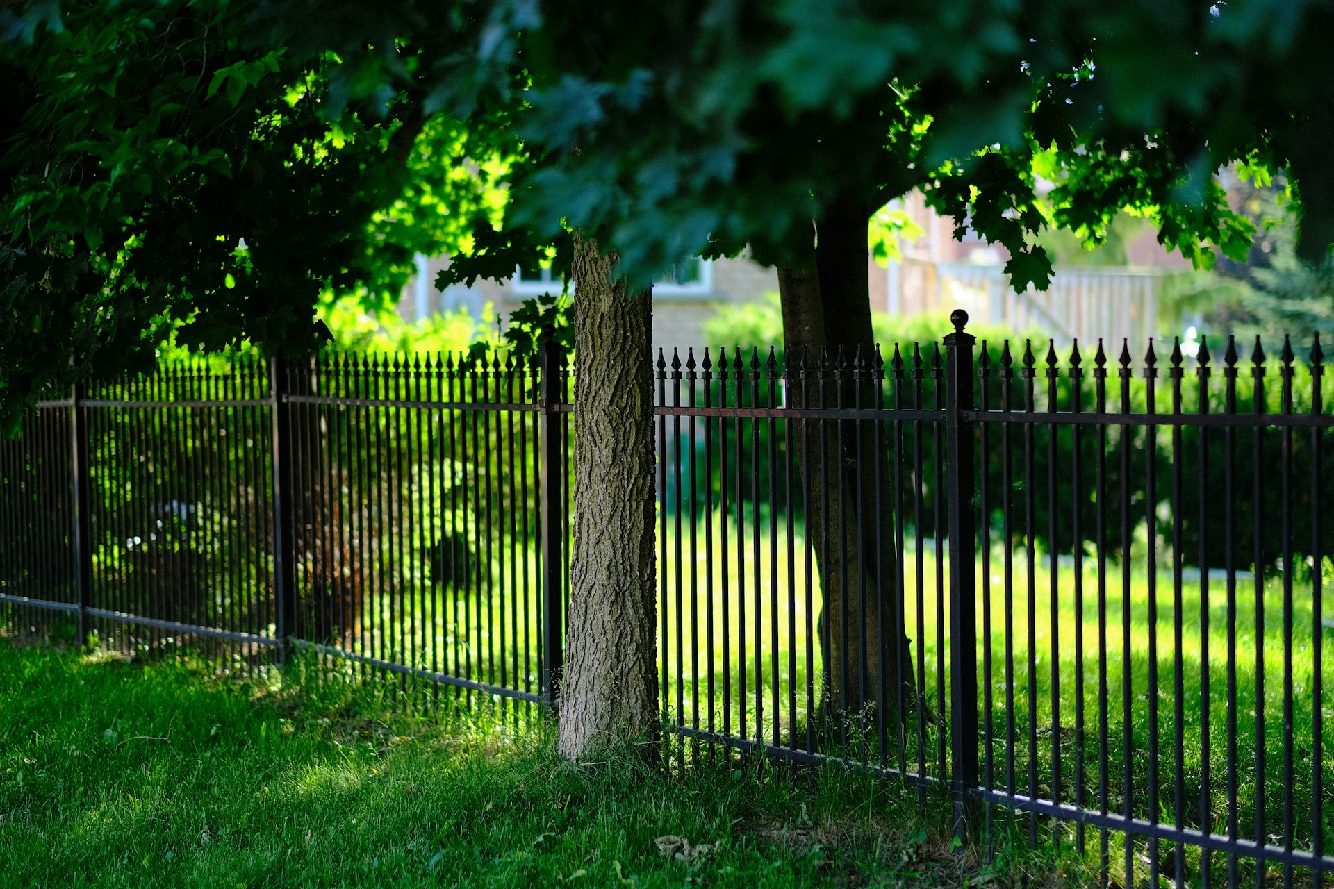 Black ornamental metal fence in a landscaped yard