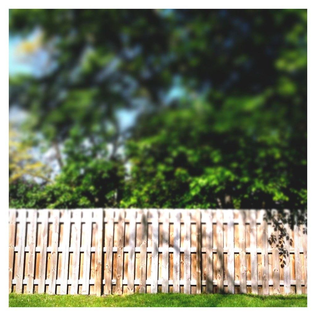 Wood privacy fence typical of South Florida yards
